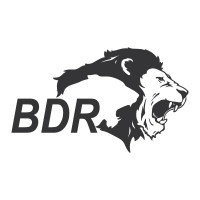Client Logo 13
